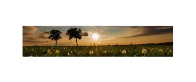 日光下で視認可能なカラー表示に関して知っておくべき重要なポイント