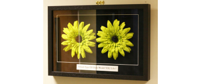 容量式タッチパネルに関するすべての情報