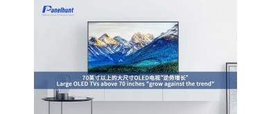 70インチ以上の大型OLEDテレビは「トレンドに逆行して成長」