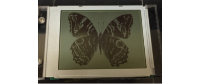 カスタムLCDディスプレイ開発における金型費用