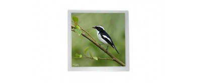 最高のLCD製品を購入するために専用の製造業者を探す