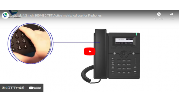 Leadtek 4.3 インチ 800*480 TFT アクティブ マトリックス LCD（IP 電話用）