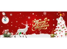 Leadtek Displayからの温かいクリスマスの願い