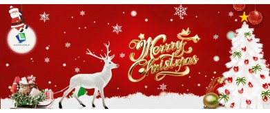 Leadtek Displayからの温かいクリスマスの願い