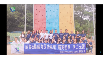 LeadtekとGSLsalesチームのチームビルディング