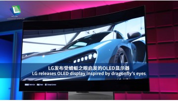 LG、トンボの目に着想を得た OLED ディスプレイを発売