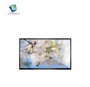 11.6 Inch1920*1080 eDP Interface Display Module