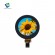 circular tft display