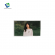 display modules