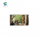 lcd display modules