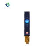 6.1" IPS LCD Module for Smart Home Applications