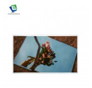 21.5 Inch 1920*1080 TFT LCD Panel With LVDS Interface