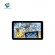 touch screen module