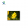 ips display ips display