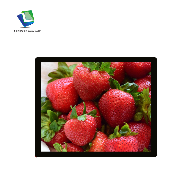 19.0-inch IPS LVDS TFT LCD Module with G+G Capacitive Touch